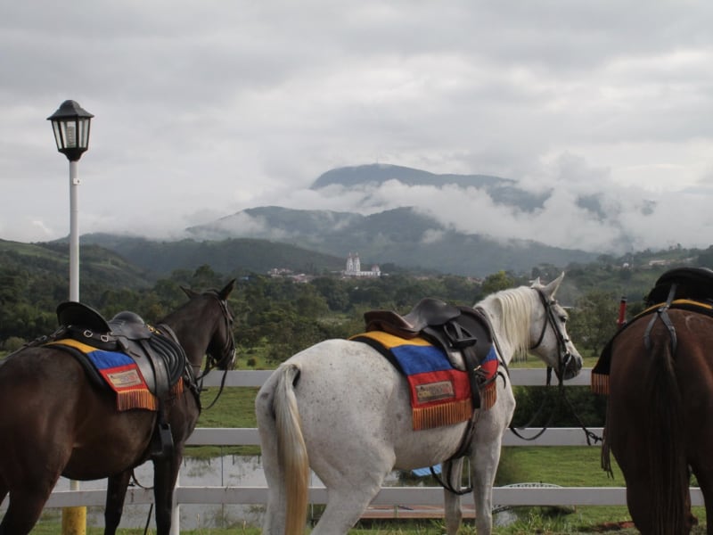 Turismo Equino - Paseos a Caballo 2