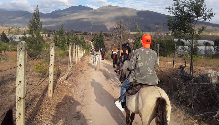 Turismo Equino - Paseos a Caballo 3